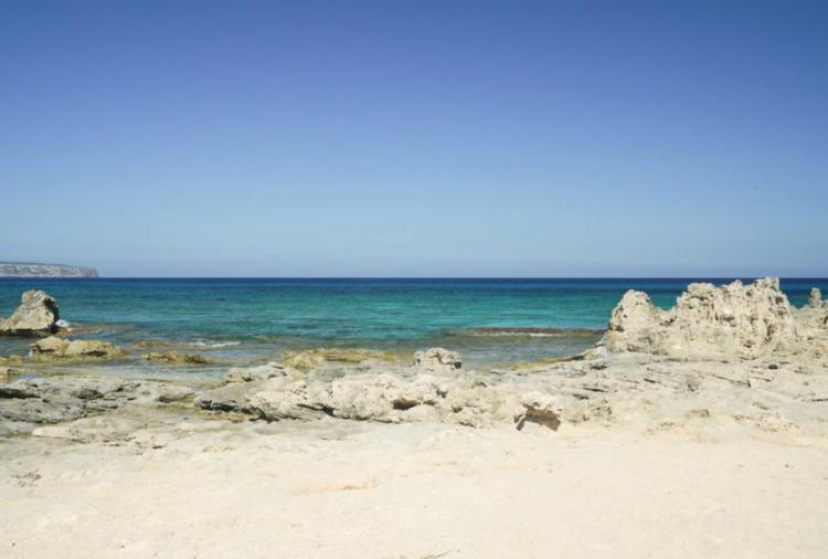 4cdab88b5f39056d26dc9800754f4a58