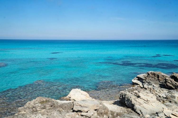 62d5e8b2be1ca733ae4cfce4f632e4a7