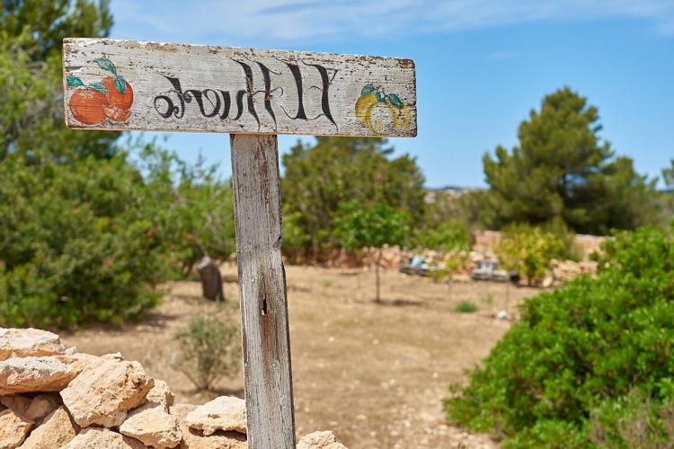 7ad5585a88dec1530aa7b6f463063bea