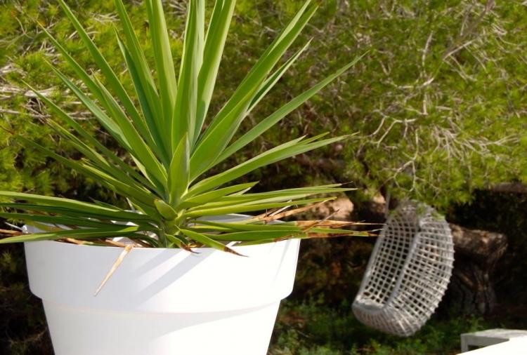 95260816f00e5aba8b418af470082d82