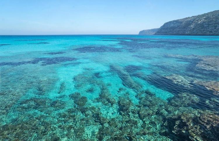 cfd4b797cb2df60f6bab434942cd5363