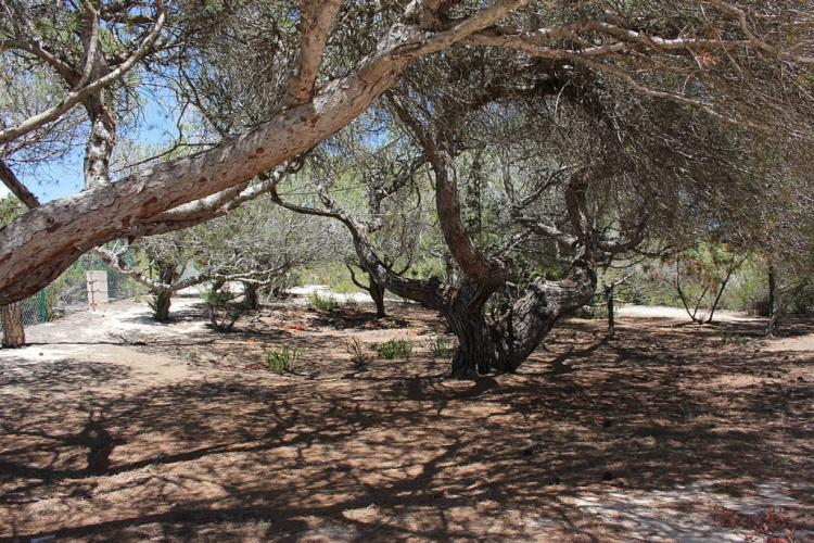 d8cfee0b48c8f3a1c6aa0fe33e83294d