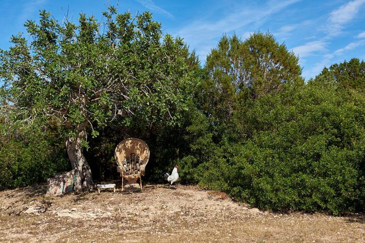 f4d8662b301bd565c94f3c2c82e5cbcf